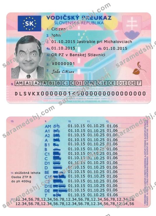Slovenia driving license version 2